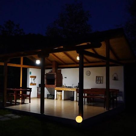 Guest House Carpathia Vişeu de Sus Exterior foto