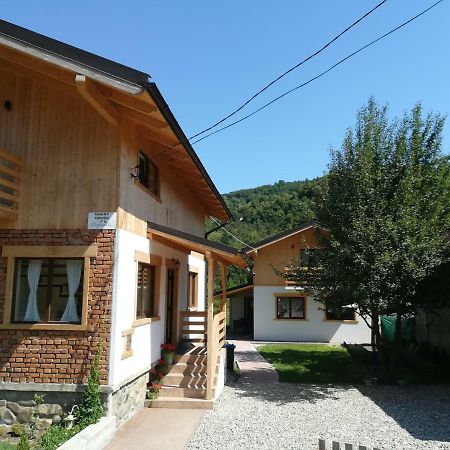 Guest House Carpathia Vişeu de Sus Exterior foto