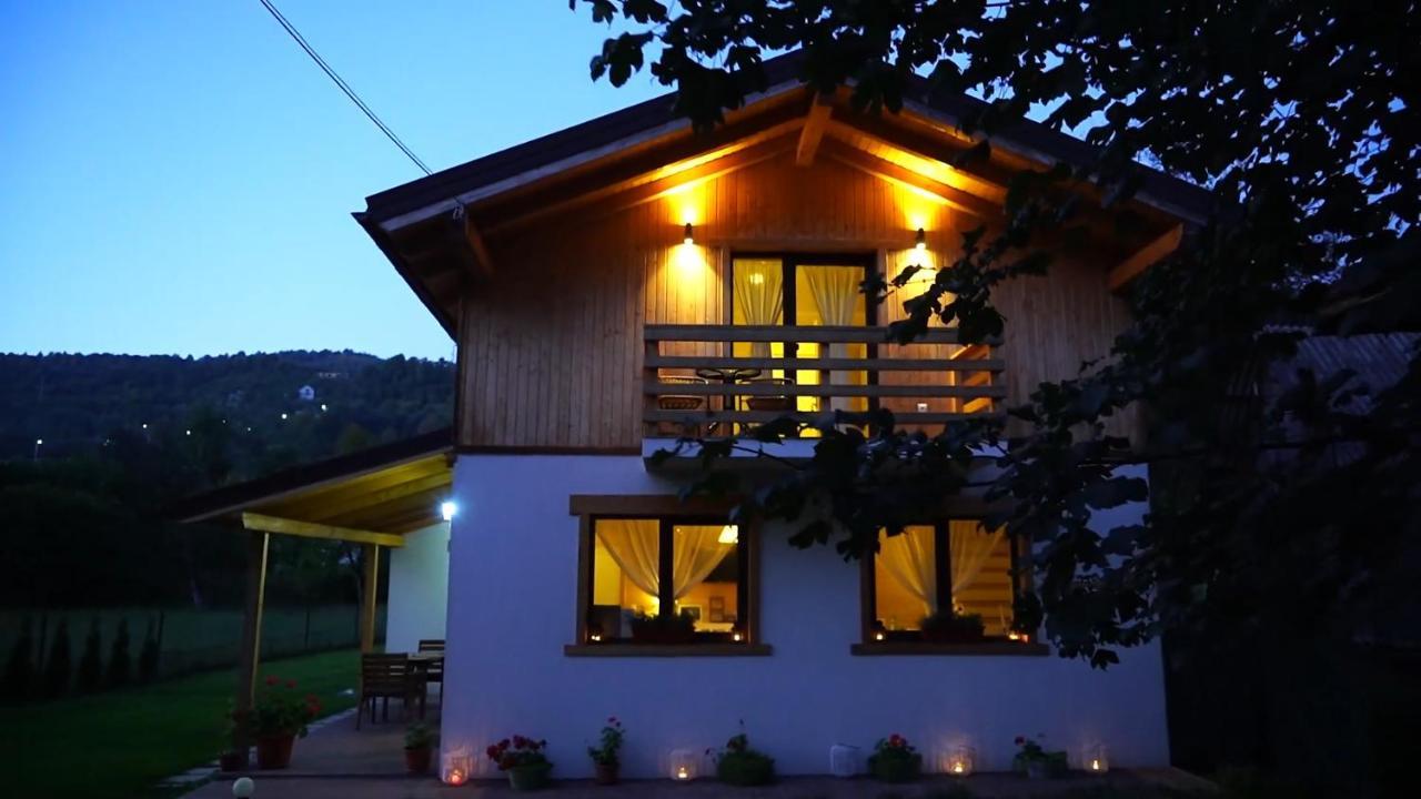 Guest House Carpathia Vişeu de Sus Exterior foto