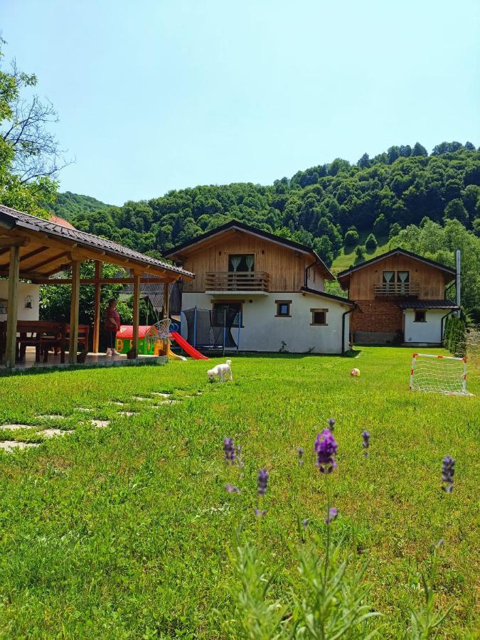 Guest House Carpathia Vişeu de Sus Exterior foto