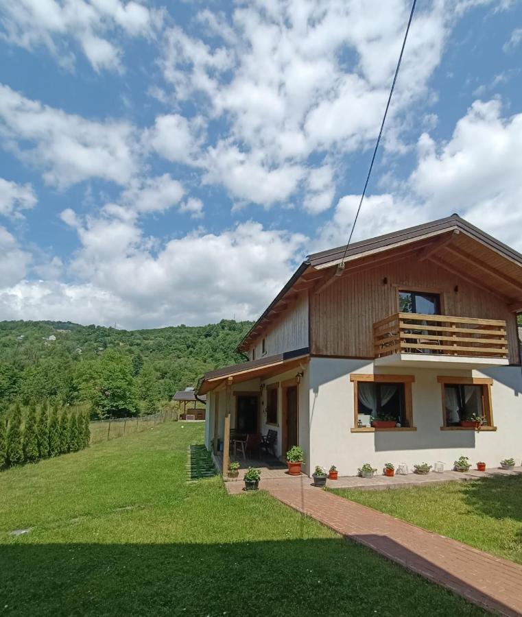 Guest House Carpathia Vişeu de Sus Exterior foto