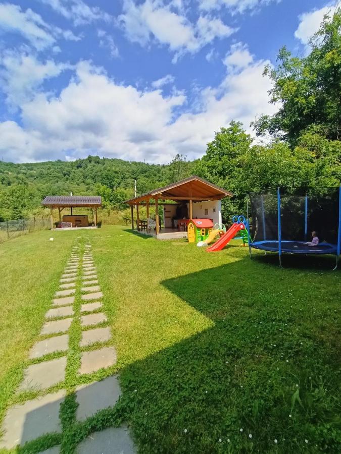Guest House Carpathia Vişeu de Sus Exterior foto