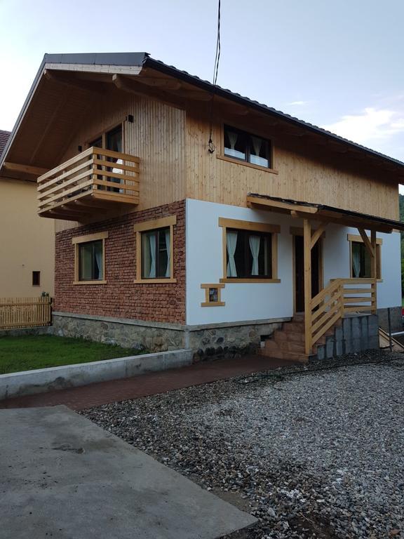 Guest House Carpathia Vişeu de Sus Exterior foto