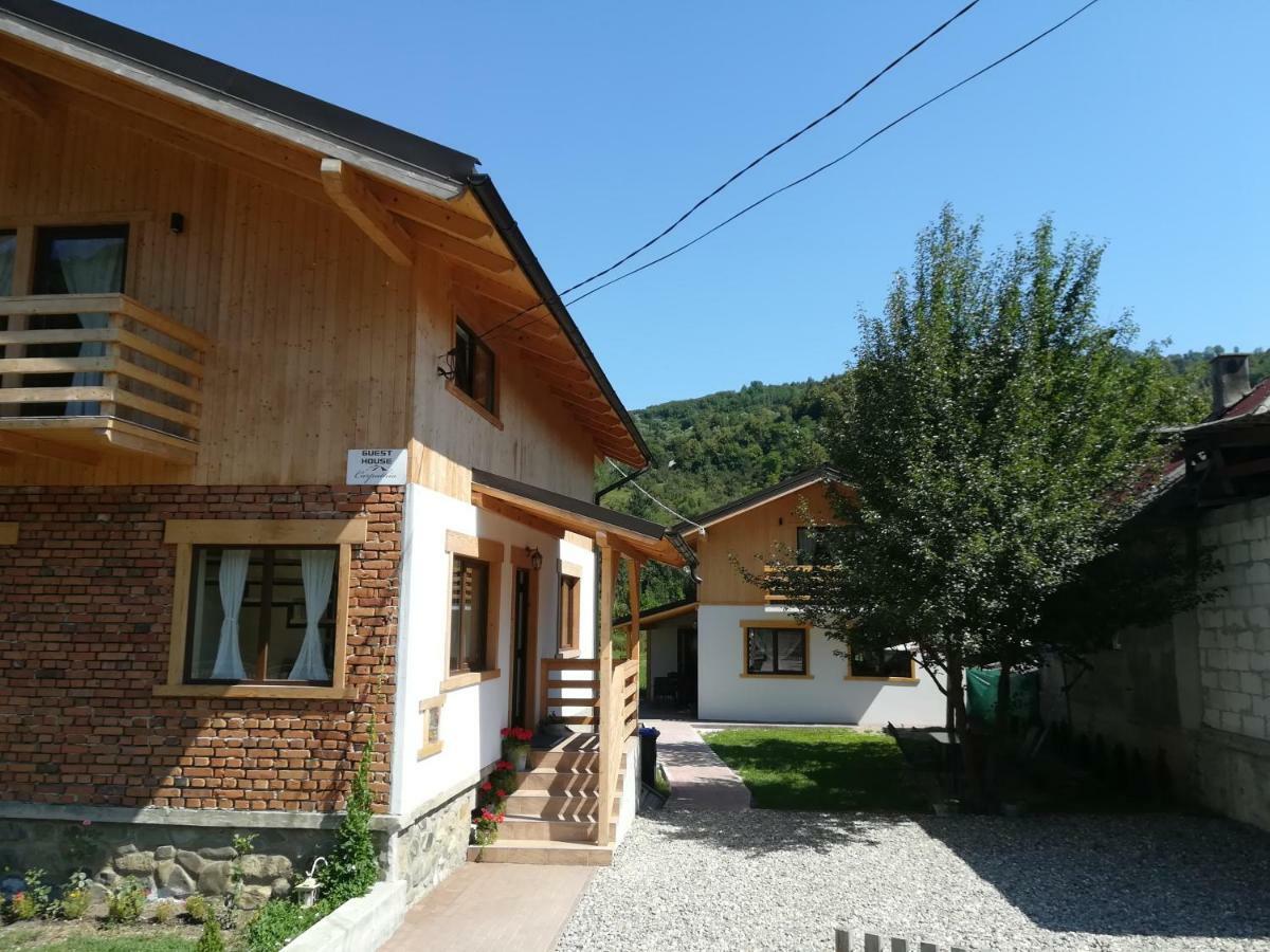 Guest House Carpathia Vişeu de Sus Exterior foto